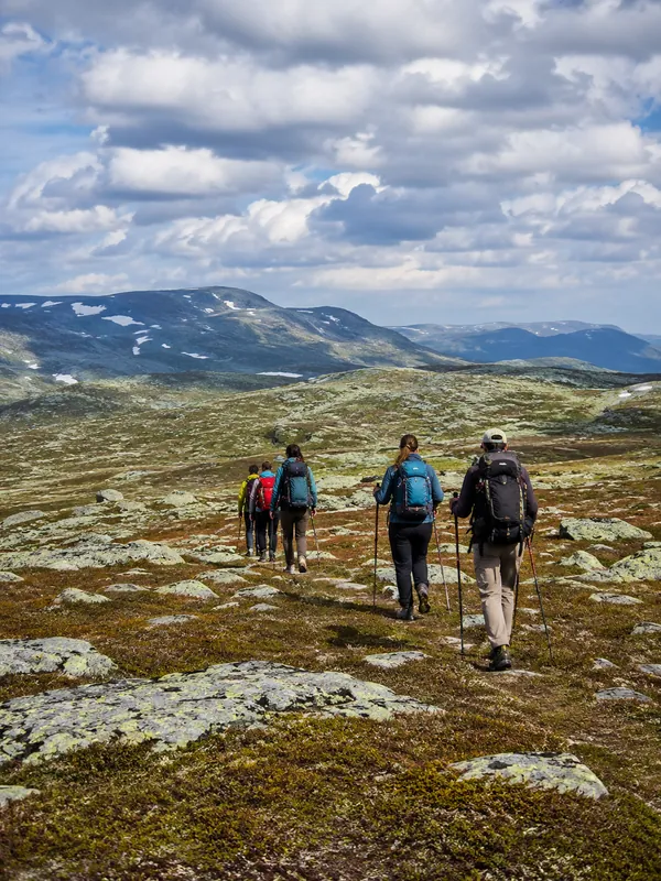Turfølge på rekke over åpent fjell